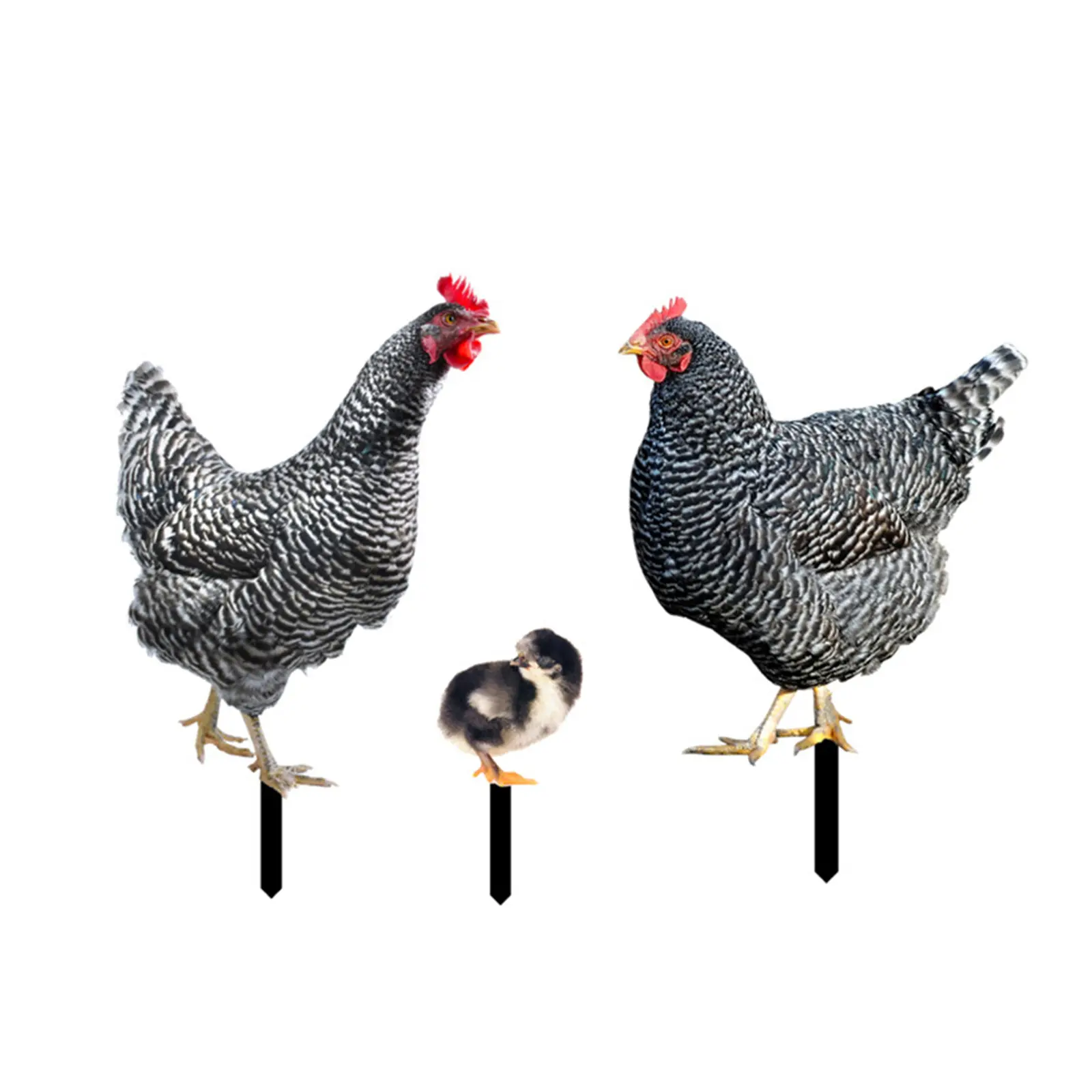 Chicken Garden Stakes Ornaments for Outdoor Yard Lawn Decoration Rooster Stake