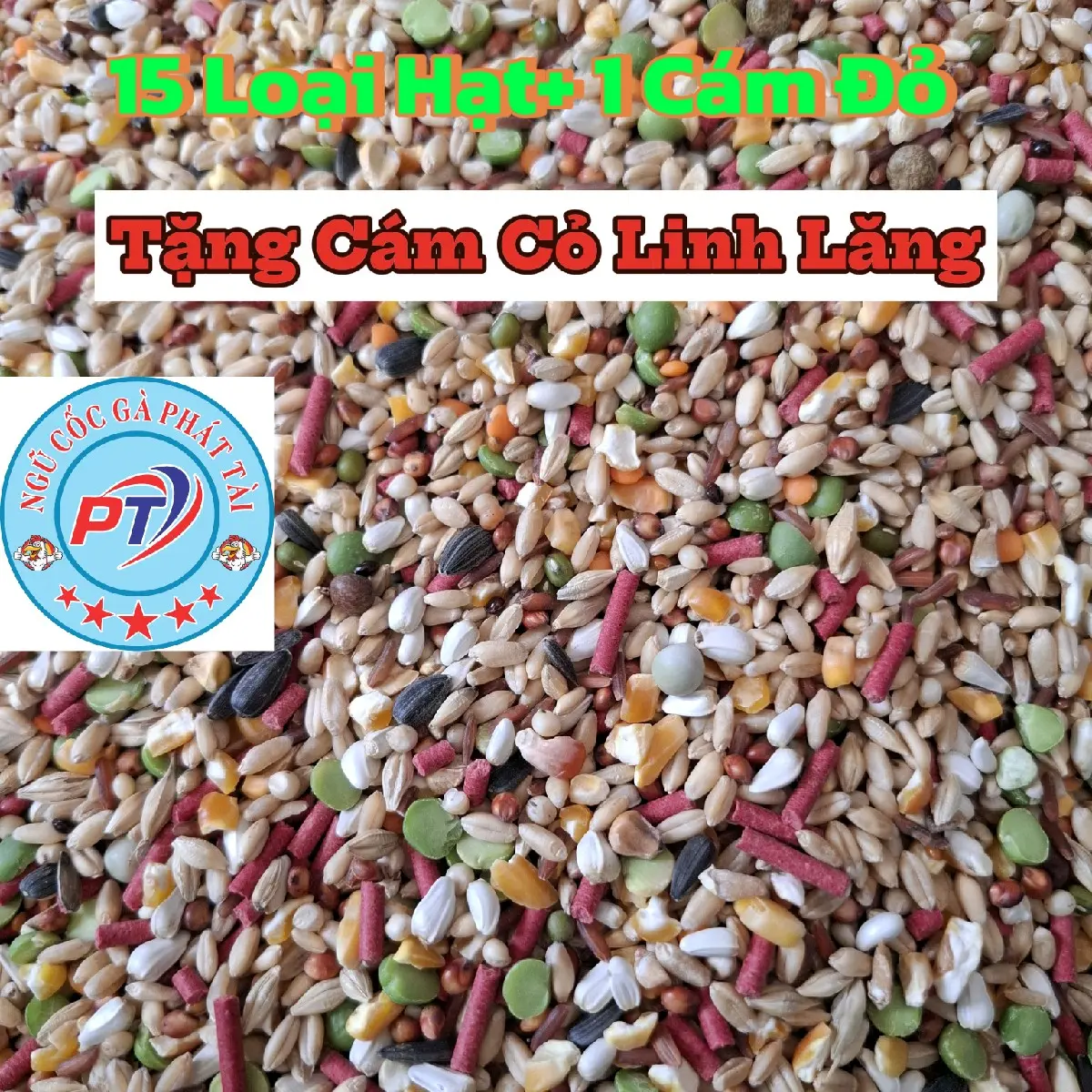 10kg Ngũ Cốc Gà 15 Loại Hạt,1 cám Đỏ(Tặng 2 Bịch Cám Cỏ Linh Lăng)