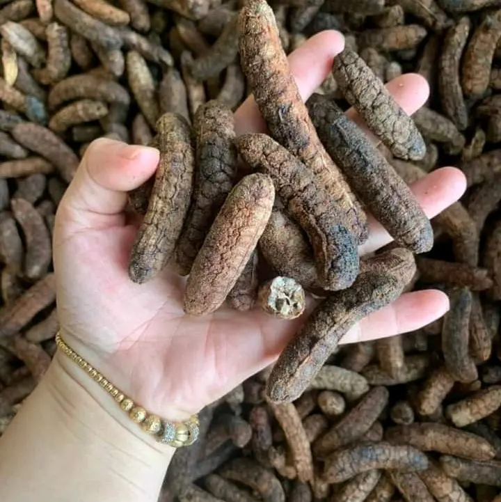 Chuối Hột Rừng Phơi khô đóng túi 1kg