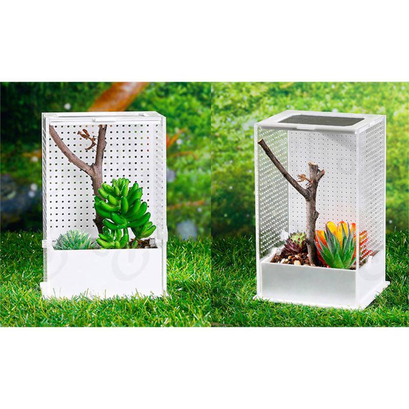 Reptile Feeding Box Breeding for Case Portable Plastic Terrarium Clear Insect Habitat for Mini Pet Lizard Centipede 2 6