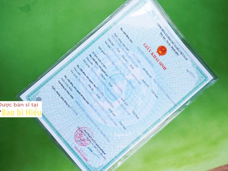 Combo túi đựng giấy A4 (khai sinh, kết hôn, bằng đại học...) bằng nhựa dẻo PVC không cần ép bamarau