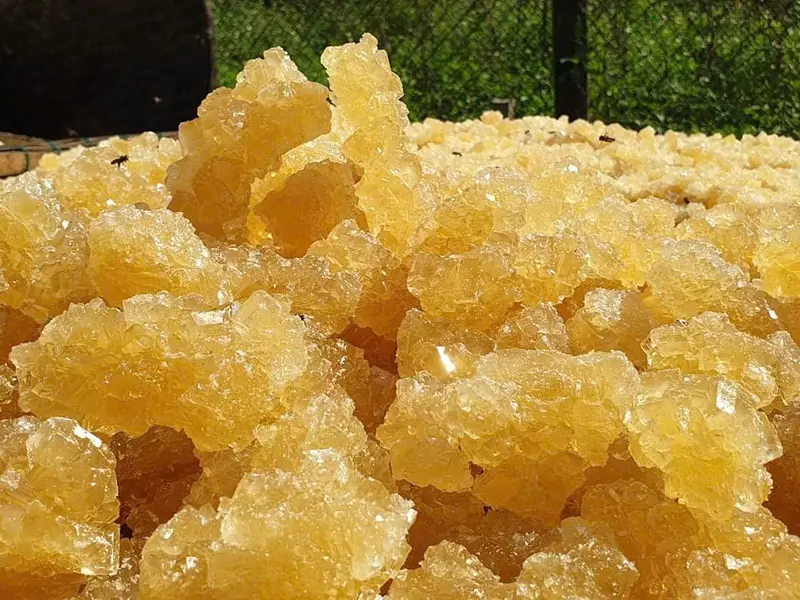 ĐƯỜNG PHÈN VÀNG NGUYÊN CHẤT MẬT MÍA, Đặc sản Quảng Ngãi, hộp 500gr 1