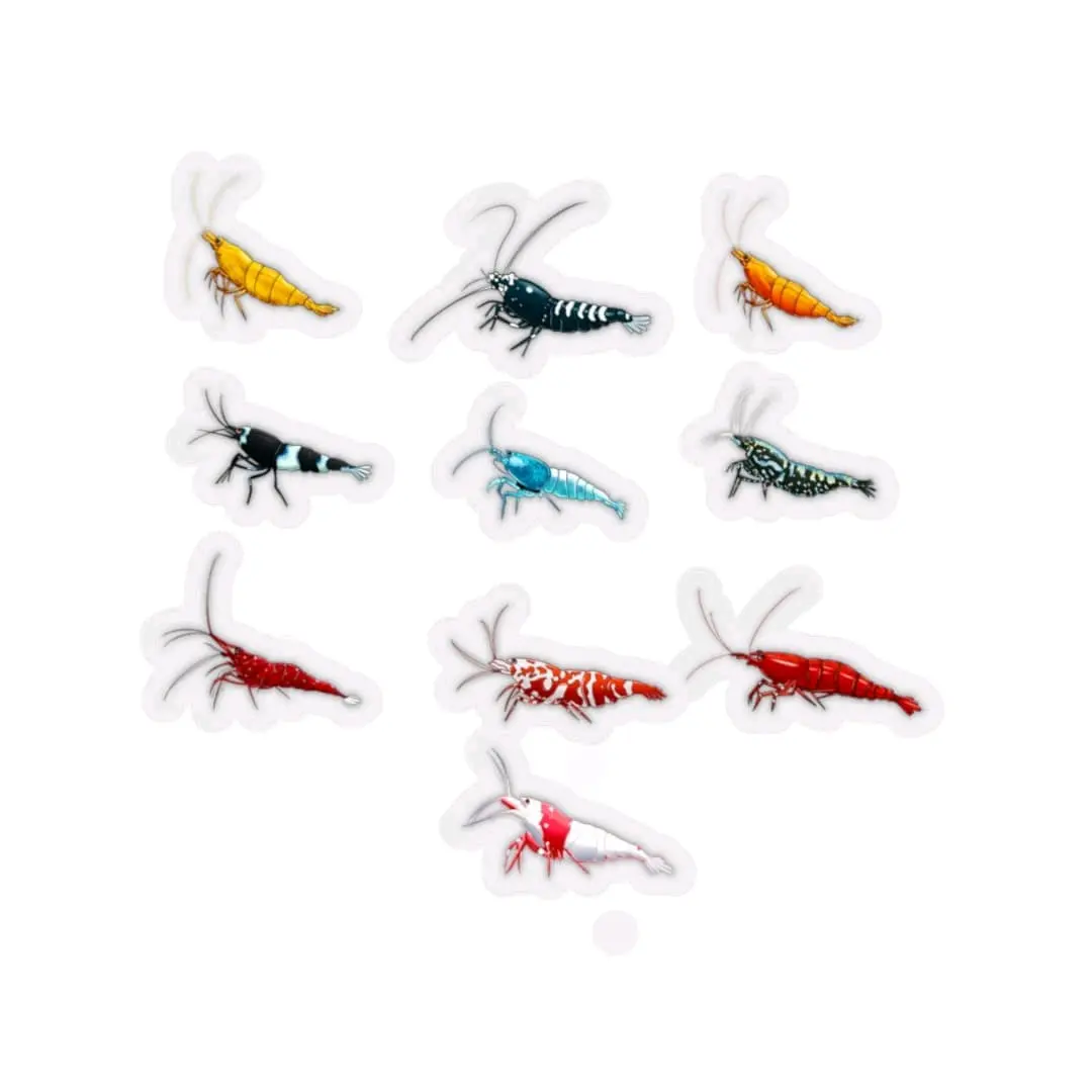 Shrimp Aquarium Decoration