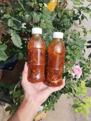 COMBO 2 CHAI MẮM CÁ CƠM đặc sản bình định (chai 380g) Gia Vị Nước Sốt