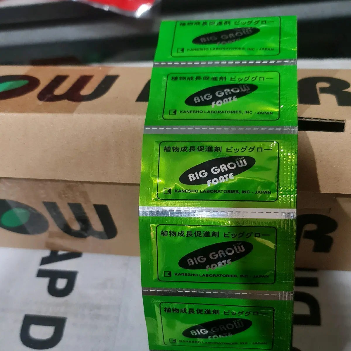 ZPT Big Grow Forte GA3 20WP kemasan 1 gram ( 20 liter )