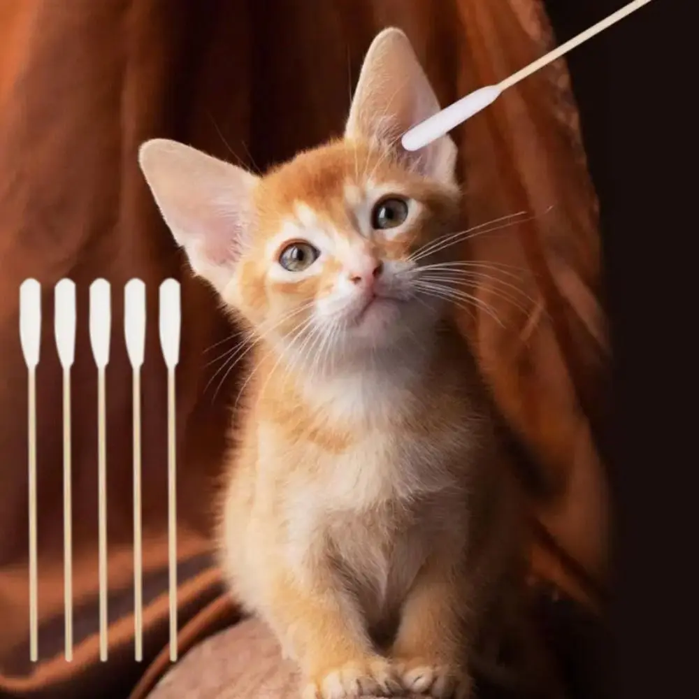 50pcs 15cm Pet Cotton Swabs Single-head Disposable Dog Wash Ear Stick Dirt Removal Cotton Swabs Pet Ear Cleaning Cotton Swabs Cleaning