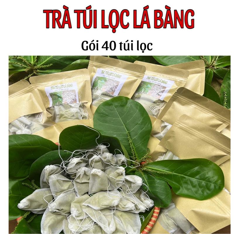 Trà túi lọc lá bàng 40 túi lọc xông rửa tặng 1 dụng cụ làm sạch