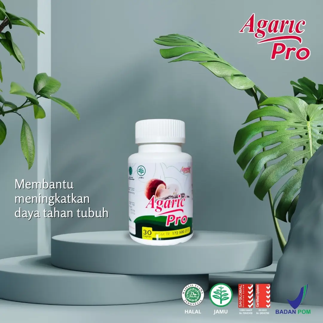 Agaric Pro AgaricPro Original untuk mengurangi Diabetes Kolesterol Asam Urat suplemenkesehatan