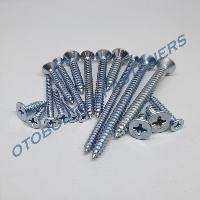 Jual [PAKET 50PCS] Skrup FAB #12 x 2-1/2 / Tapping Screw KEPALA RATA ...