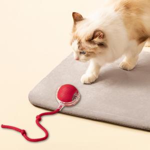 USB充電式犬用おもちゃ、ロングテールボール、猫用トレーニングおもちゃ、すべての猫に適したテーストトレーニング用おもちゃ、バレンタインデーギフト