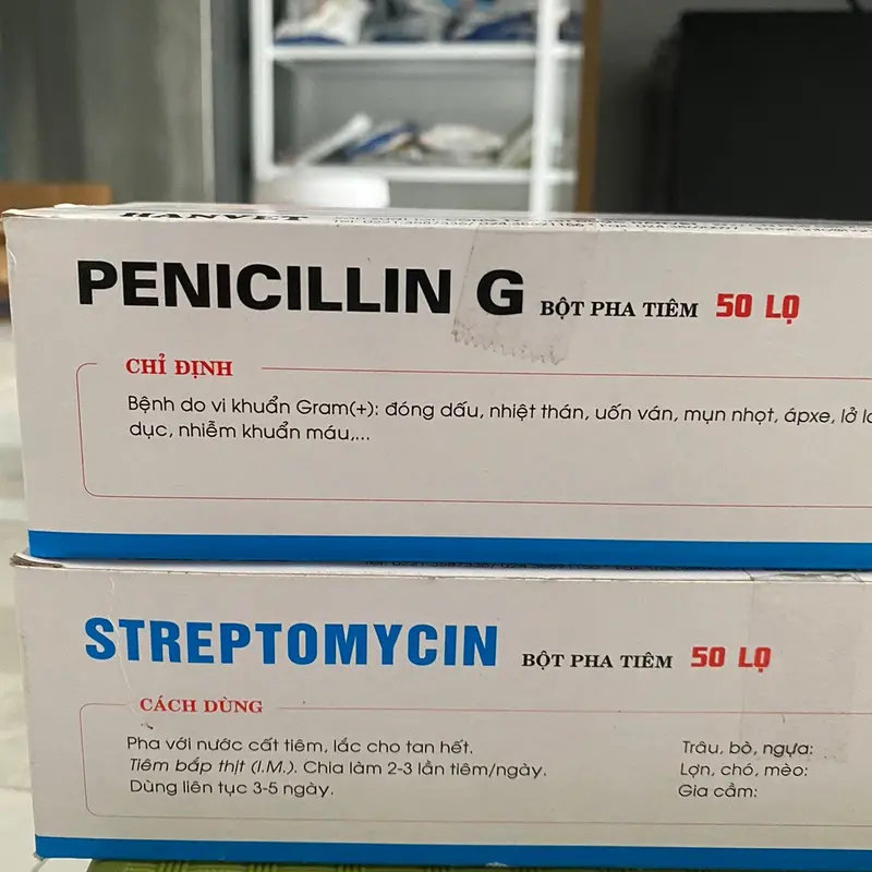 Penicillin G và Streptomycin (lọ 1g) hanvet bột pha tiêm xử lý các bệnh đóng dấu, nhiệt thán, mụn nhọt, áp xe,.. ở gia súc gia cầm 4