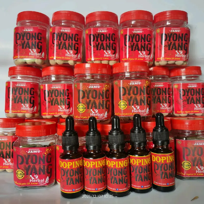 DOPING AYAM ADUAN PYONGYANG 3