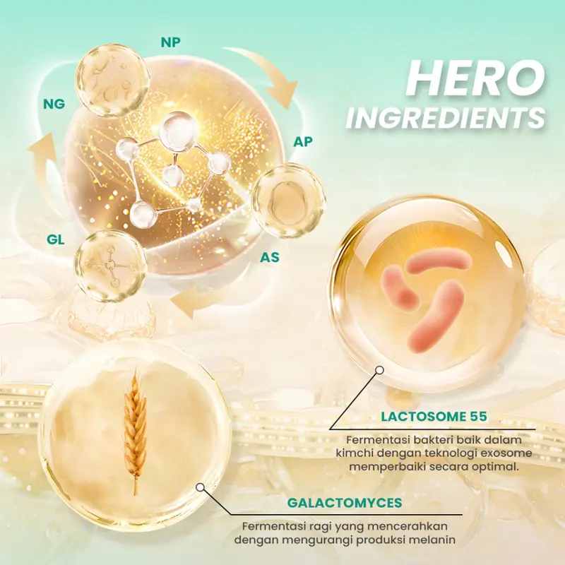 Hanasui Ceramide Proviotics Moisturizer Gel | Pelembab Wajah Hanasui 4