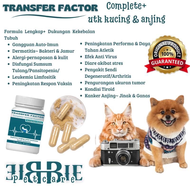 PROMO New PRODUCT!!! Transfer Factor complete+ Feline and Dog, vitamin ...