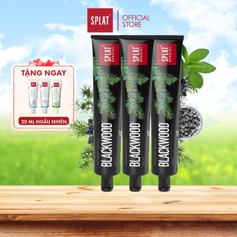 Combo 3 Kem Đánh Răng Hỗ Trợ Làm Trắng Răng SPLAT Blackwood Special Than Hoạt Tính Giúp Hơi Thở Thơm Mát, Không Chứa Florua