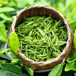 Chè Búp Thái Nguyên Bi.C