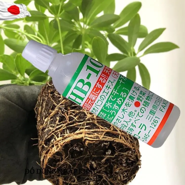 [Combo 3 lọ] Kích Rễ HB-101 Nội Địa Nhật Bản, Phục Hồi Cây Yếu, dùng được cho tất cả các loại cây lọ 6ml 6