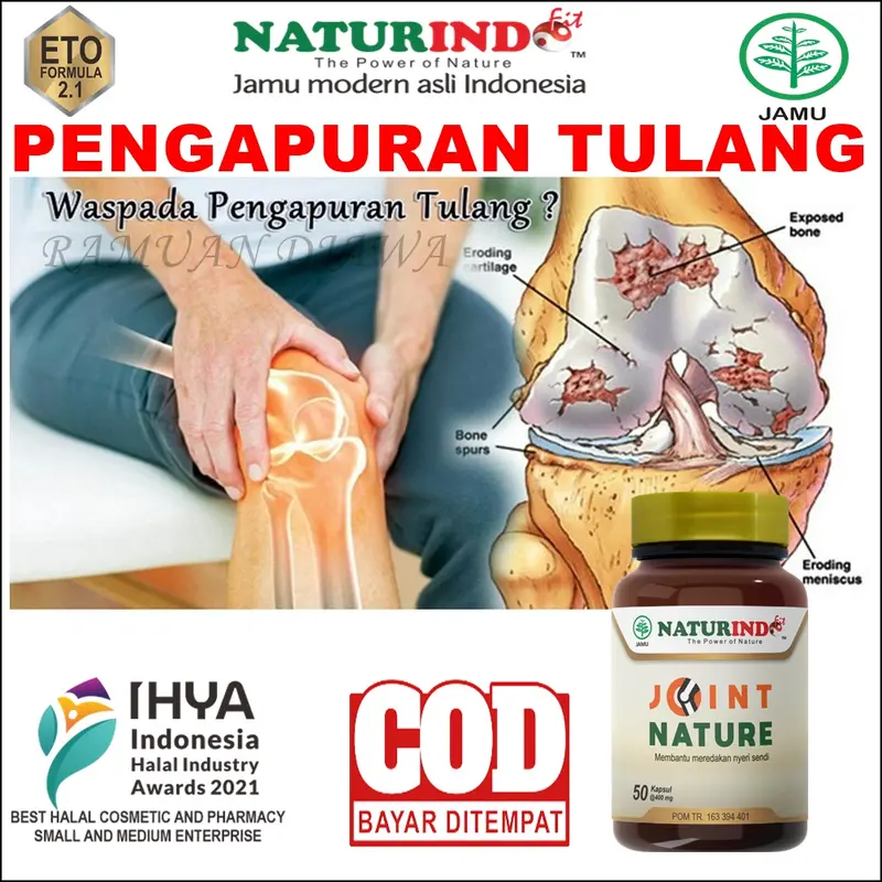 Herbal Pengapuran Tulang Nyeri sendi OSTEOPOROSIS JOIN NATURE NATURINDO 2