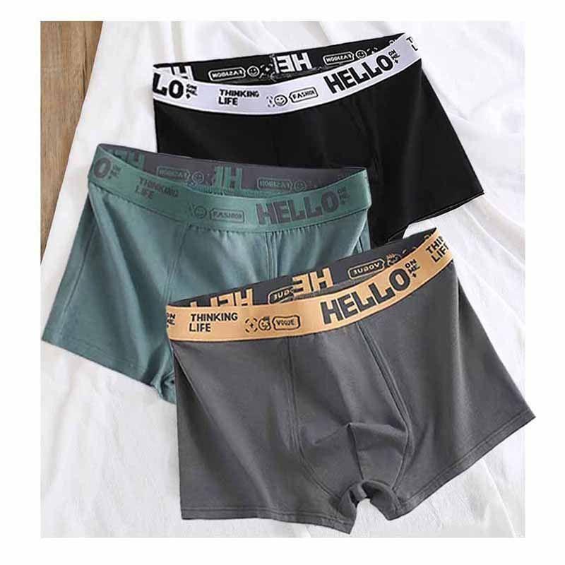Quần Lót Nam, Quần Lót Rộng Rãi, Quần Đùi Thoáng Khí, Quần Đùi Boxer, Thích Hợp Cho Bé Trai Và Thanh Thiếu Niên, Quần Lót Kháng Khuẩn, Bộ Sưu Tập Người, [5027 Bộ Sưu Tập] 1
