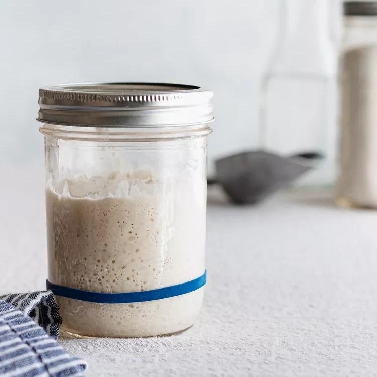 [Cam kết thành công]Men tự nhiên Sourdough starter men tươi giống ủ làm bánh mỳ milk kefir kombucha nấm sữa men sữa chua