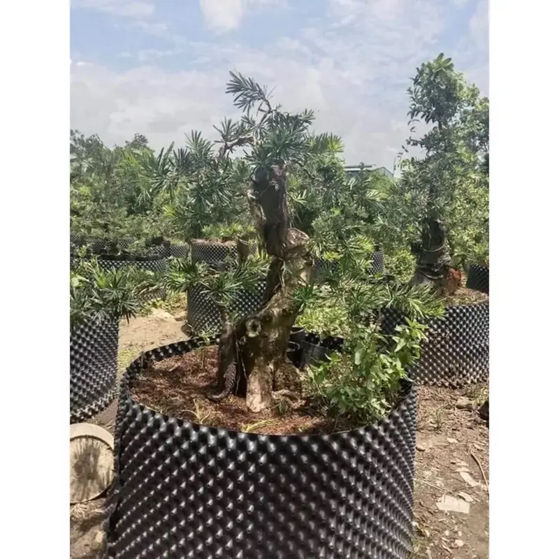 Bầu Ươm Rễ Cây Thông Minh ,Cao 20cm-90cm,Loại Dày, Nhựa PP Dẻo Siêu Bền,Giá Bán 1 Mét Tới. 8