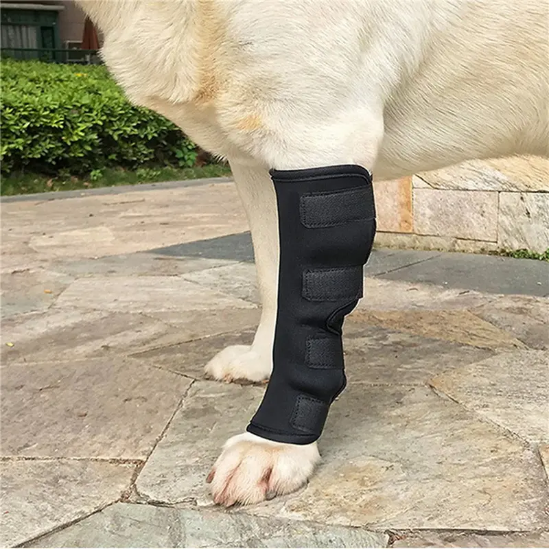 1 Pc Pet Supplies Dog's Hind Leg Protectors Pet Protectors Dog Leg Protectors Rear Leg Guards for Rehabilitation Dogs