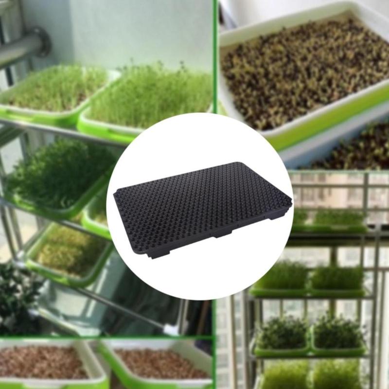 Khay Nảy Mầm, Kích Thước 658 Lỗ, Thiết Kế Đậu Phộng, Nhẹ, Thích Hợp Để Trồng Cây, Bảng Thủy Canh, Khay Trồng Cây Mầm 6