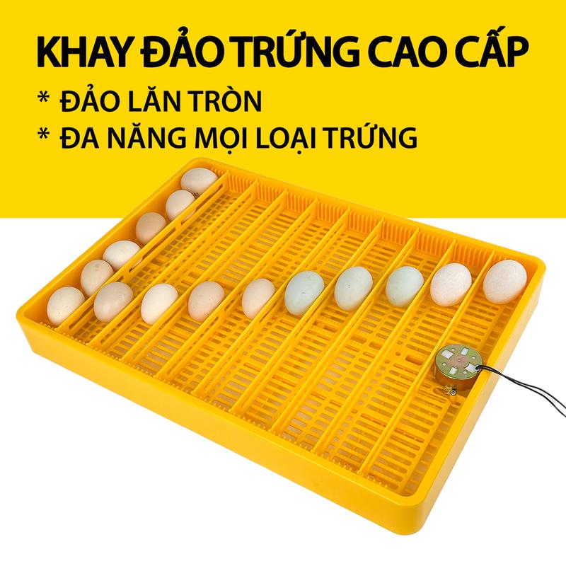 Khay đảo trứng Ánh Dương K180 đảo lăn - Đa năng mọi loại trứng, nhựa ABS đúc nguyên khối bền bỉ - DABANO
