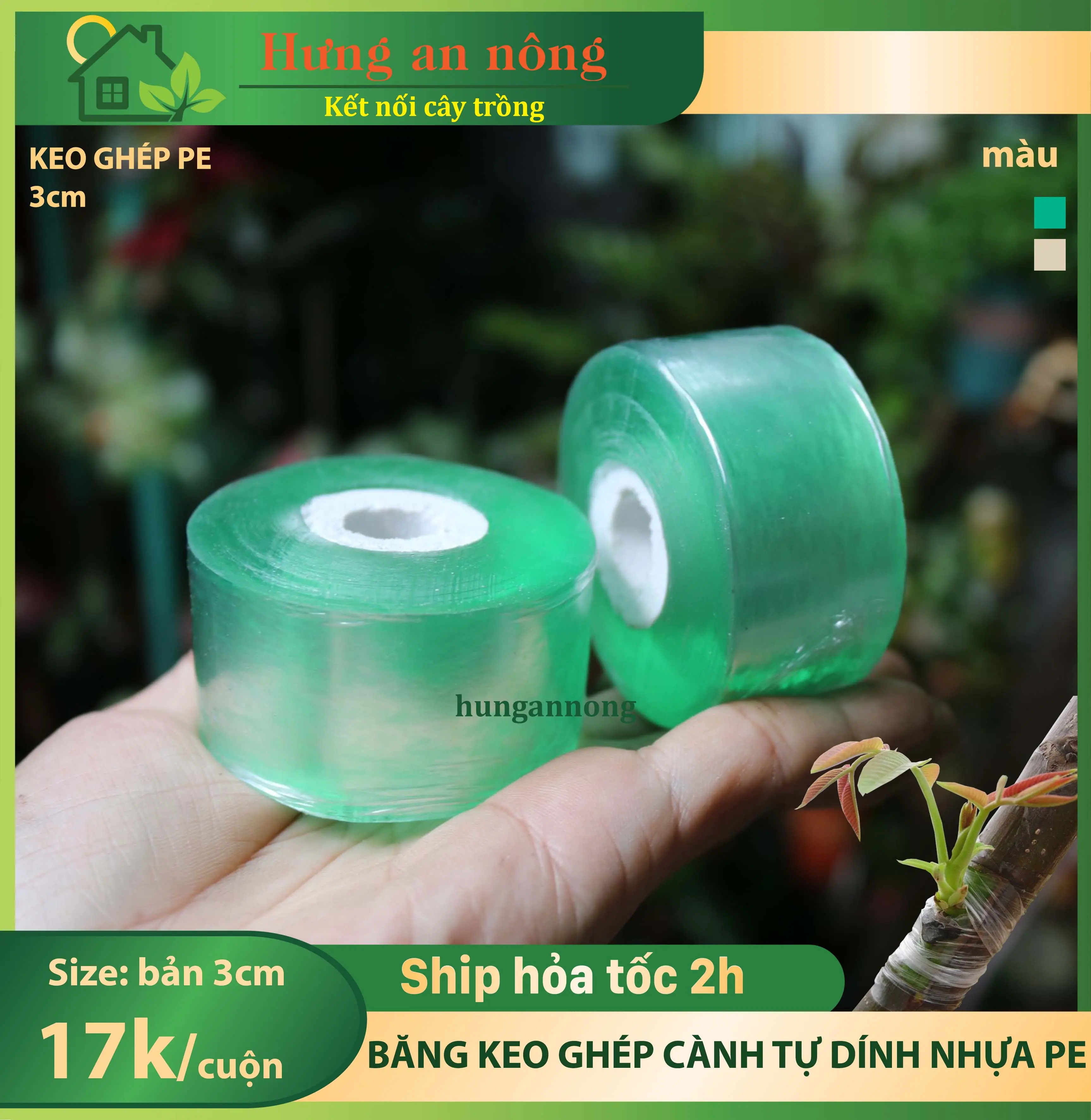 Băng keo trong bản 3cm ghép cành tự dính chất liệu nhựa PE