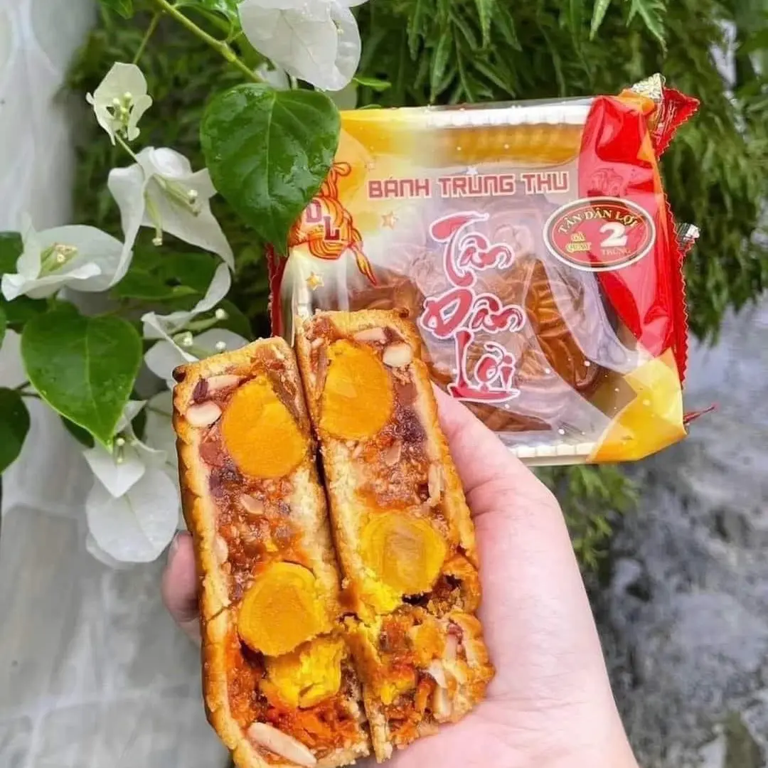 Bánh Trung Thu 2 trứng 200gr đầy đủ nhân hiệu Tân Dân Lợi Food Cake