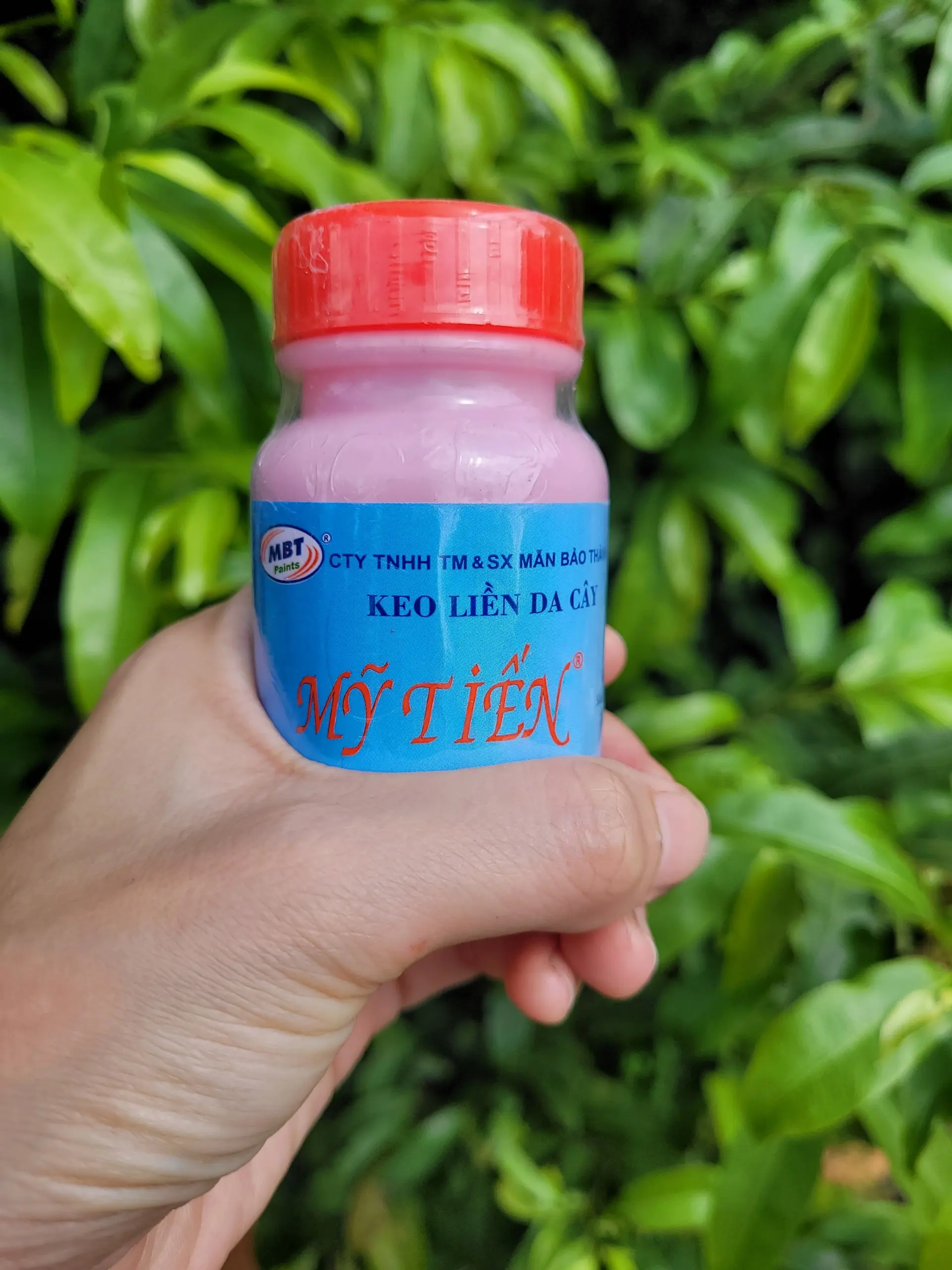 Keo liền sẹo MỸ TIẾN cho cây trồng 100gram