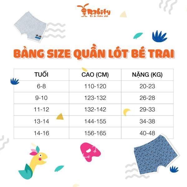 Product Introduction of Set 4 quần chíp bé trai từ 3-10 tuổi - Quần sịp đùi - Chất liệu vải cotton thoáng mát (QC18-QC40) 0