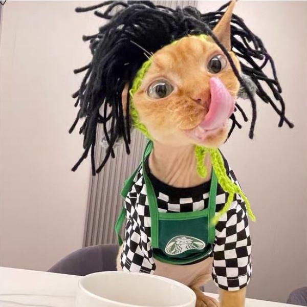 Product Introduction of Che Đầu Mèo Sphinx, Mèo Không Lông, Mũ Vui Nhộn Mèo Punk Mũ Tiệp Lộn Cho Thú Cưng Afro, Thích Hợp Cho Chó 7