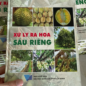 VTNN NÔNG XANH ĐỒNG THÁP