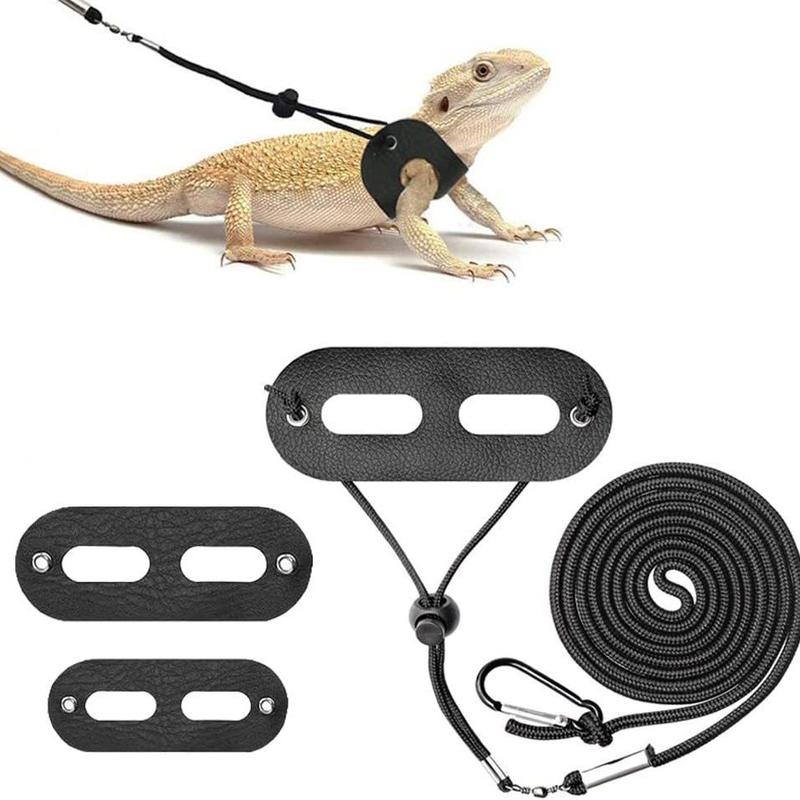 [Three-Piece Set] Little Crocodile Lizard Outdoor Costume Little Devil Leash with Wings Reptile Little Crocodile Clothes 4