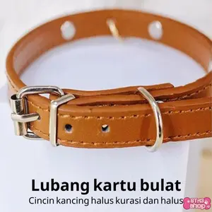 Kerah Anjing Model Tulang Baru, Ideal untuk Anjing Kecil dan Sedang, Sesuai untuk Teddy, Golden Retriever, dan Ras Anjing