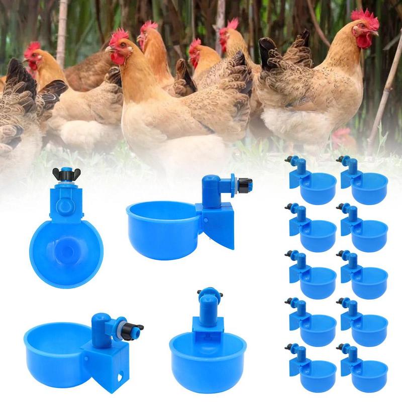 Product Introduction of Automatic Poultry Drinking Bowl Automatic Feeder, Water Cups For Chicken, Pigeons, Automatic Y4Q2 41