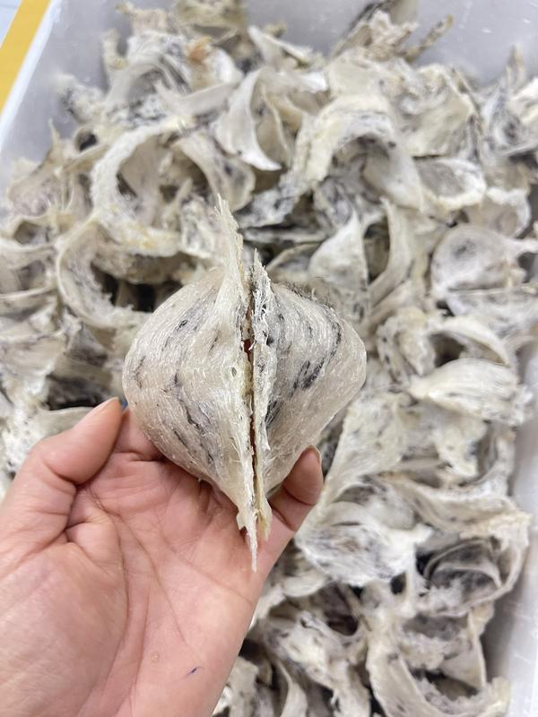 5 Tai Yến Thô - Chất lượng nguyên chất, dinh dưỡng cao yến  thô 1