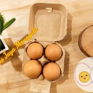 Paper egg tray 4 lubang/ tray telur paper/ box telur paper 25PCS