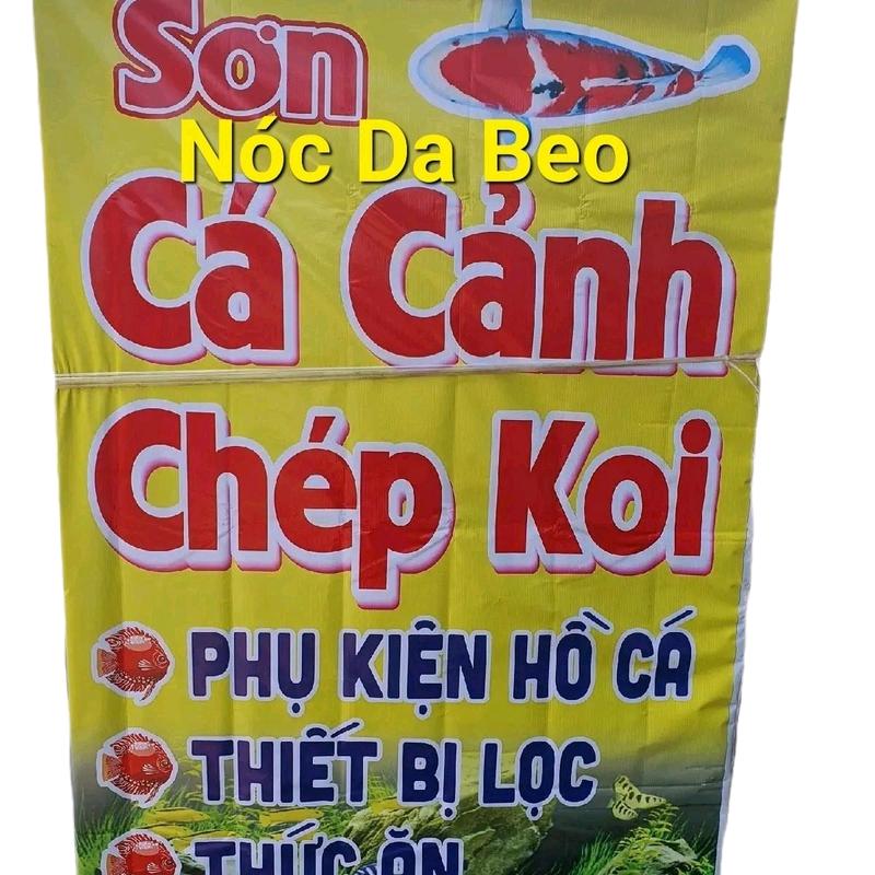Decan ( KIM NGÂN, KIM SƠN ) hình quảng cáo siêu kute Decor Decal ( Cá cảnh ) 7