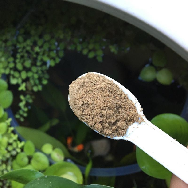 Product Introduction of Cám Mỹ 40% đạm cho cá 7 màu guppy, Betta, các loại cá nhỏ khác thức ăn trộn giàu dinh dưỡng 10