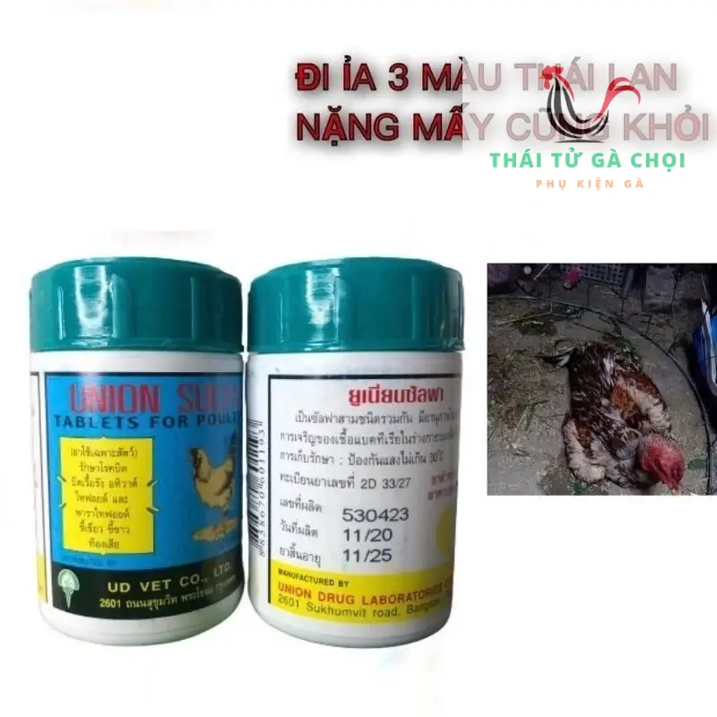 [Nhập khẩu] Đi ỉa phân 3 màu đường ruột nặng cho Gà. chỉ 1 -2 ngày là khỏi. ĐI ỈA UNION SUNFA thaitugachoi