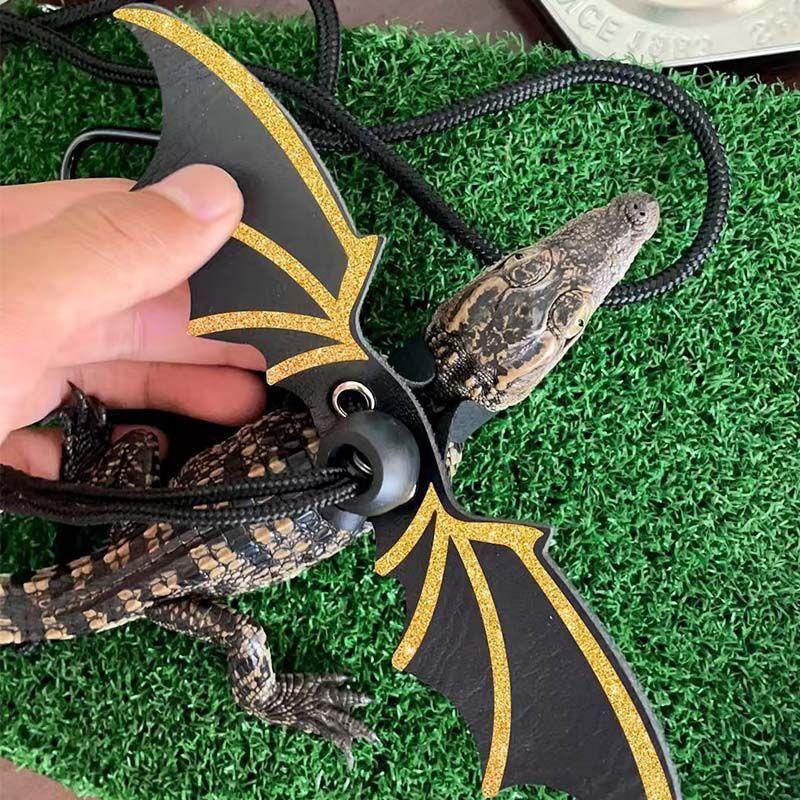 [Three-Piece Set] Little Crocodile Lizard Outdoor Costume Little Devil Leash with Wings Reptile Little Crocodile Clothes 7