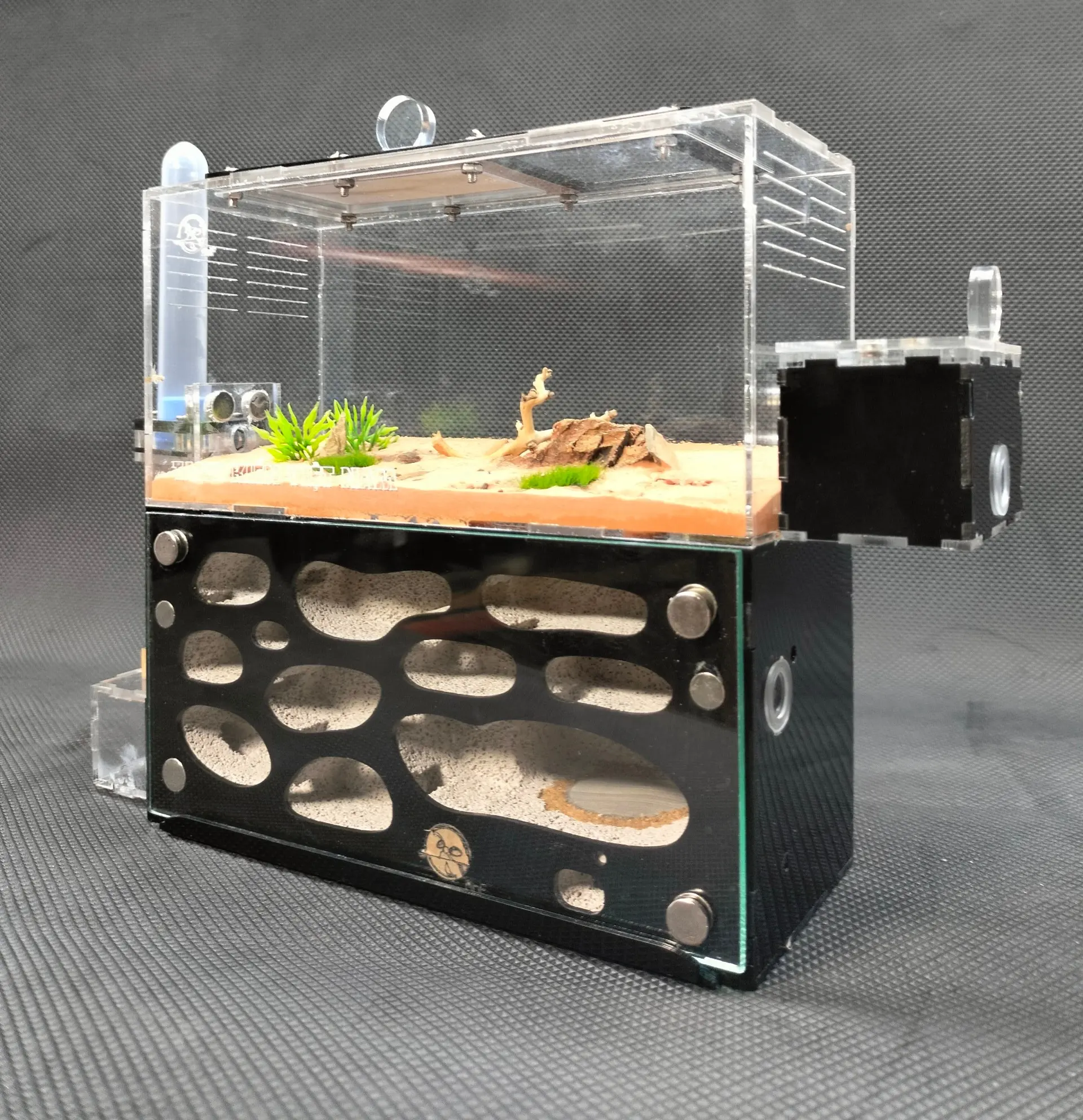 D03 - Nuôi kiến - Ant farm - Formicarium - Hộp nuôi kiến - Chuồng nuôi kiến - Tank kiến - Nhà cho kiến