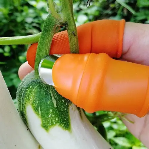Găng tay bấm, ngắt, hái rau chuyên dụng, bộ móng hái rau tiện lợi, bô móng hái rau 4 ngón dùng cho nam và nữ 0