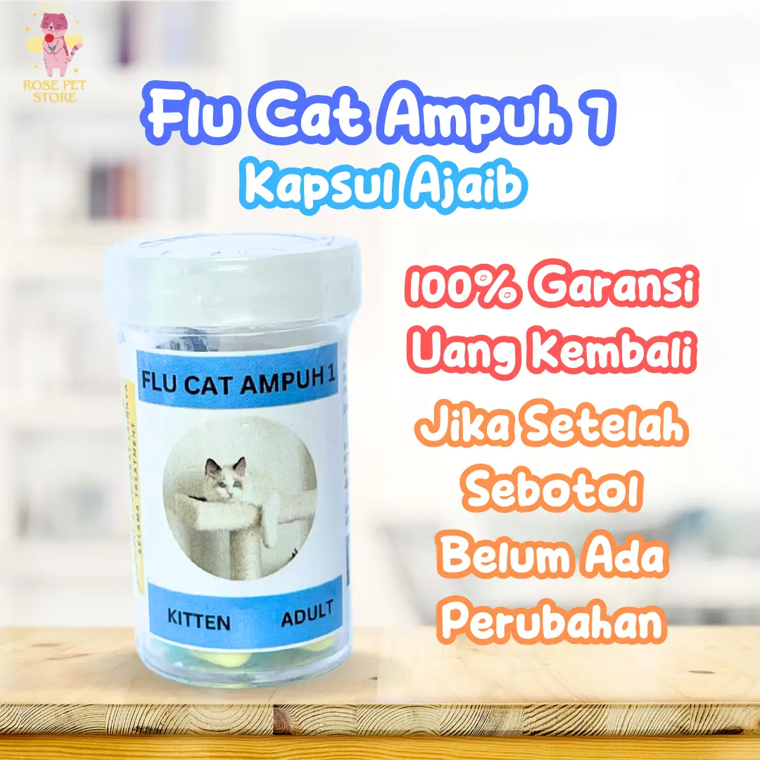 FLU CAT OBAT PATEN FLU KUCING AMPUH PILEK BERSIN BERSIN INGGUSAN VIRUS BAKTERI KUCING