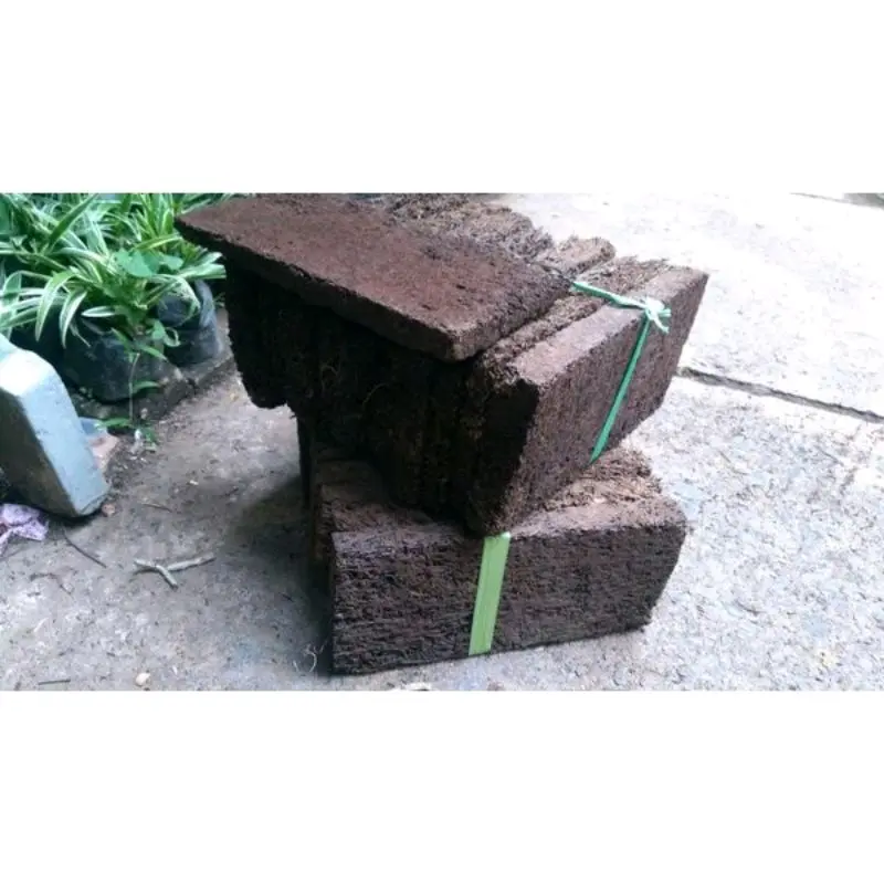 Papan pakis ukuran 20x10 cm