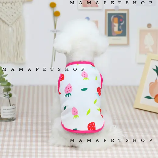 Áo Thun Hoạ Tiết Trái Cây Mùa Hè Cho Thú Cưng, Áo Ba Lỗ Thoáng Mát Cho Chó Mèo - Mamapetshop S Multicoloured 8