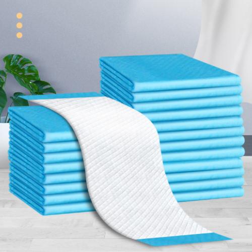 Miếng Lót Vệ Sinh Lẻ Cho Chó Mèo Siêu Thấm Hút 1