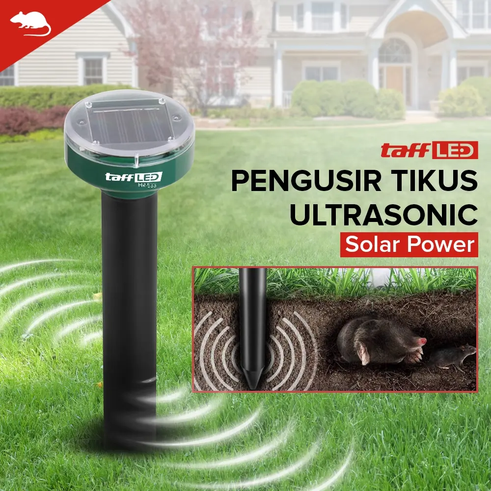 ULTRASONIC